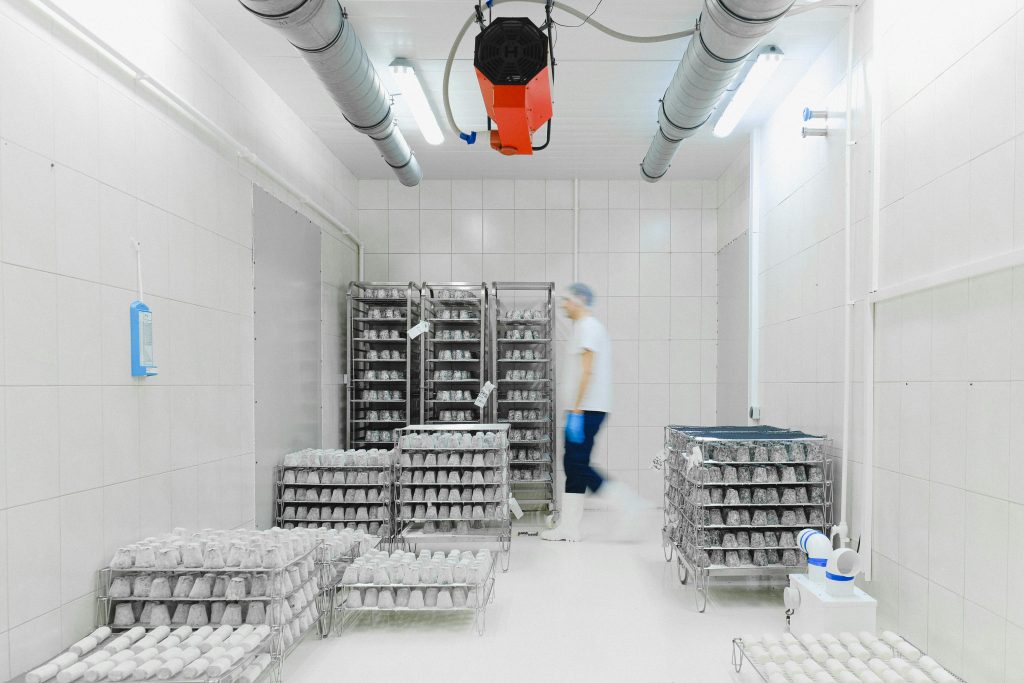 Optimizing Cold Chain Operations with Industrial Lighting Solutions